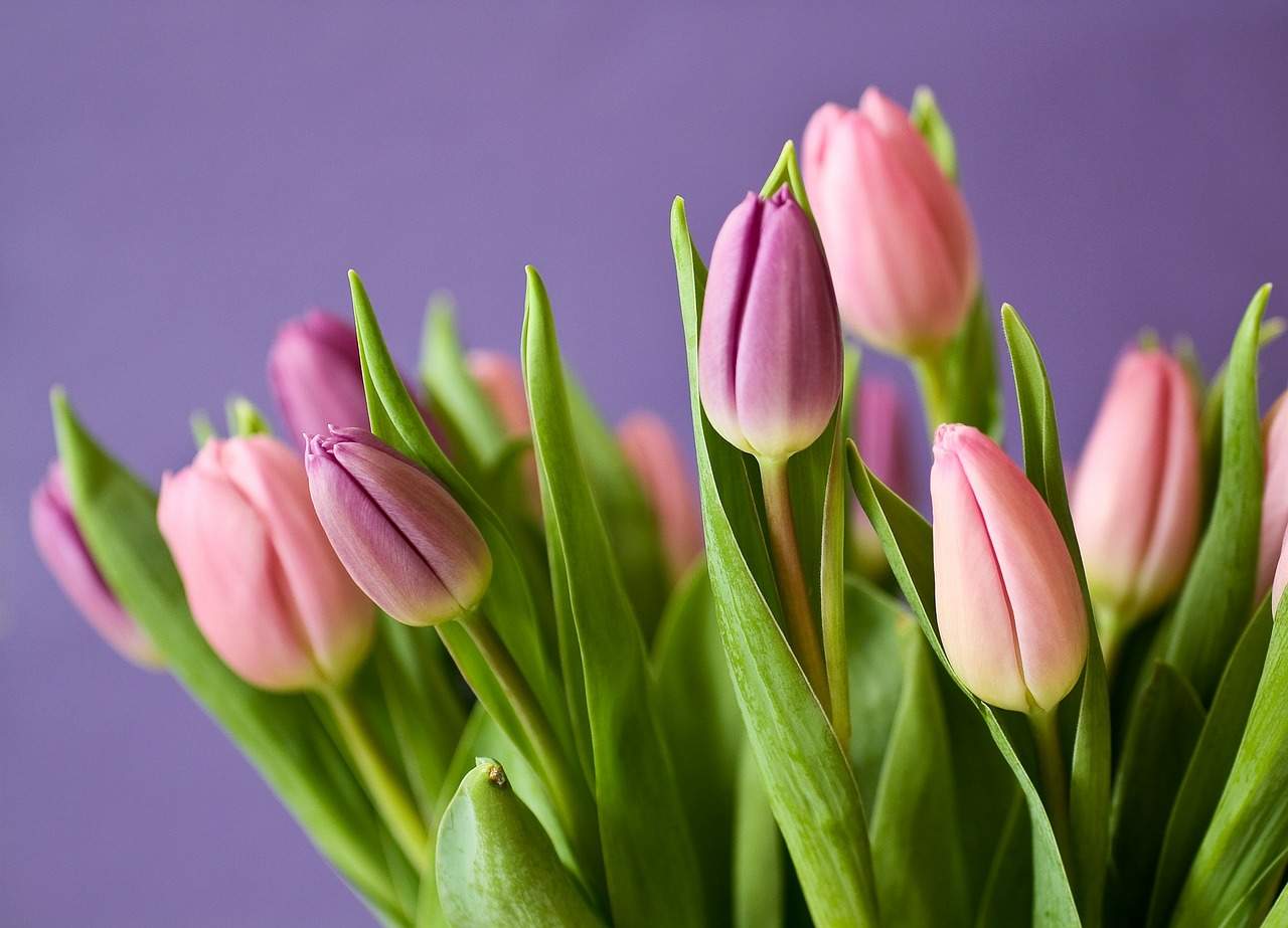 fiori per matrimonio